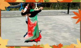 双人舞大全视频,经典舞步与浪漫旋律的完美融合